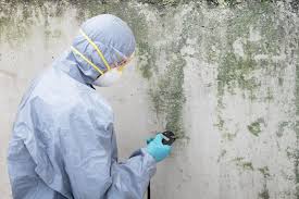 Best Biohazard Mold Removal in Centreville, MD